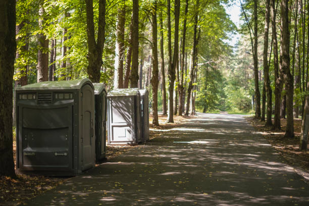 Trusted Blue Earth, MN porta potty rental Experts